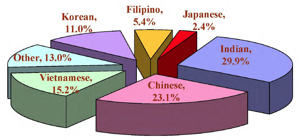 Apa Demographics Greater Austin Asian Chamber Of Commerce